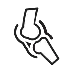 Icono huesos
